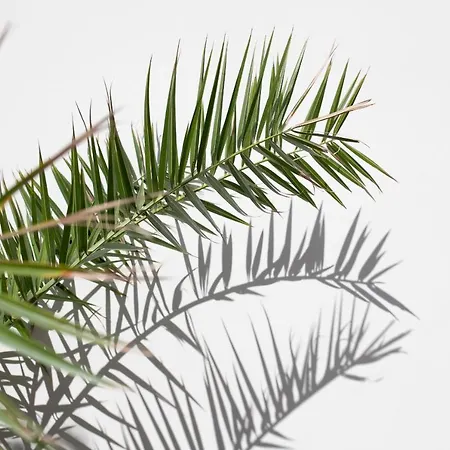 Old Square & , 73 Steps From The Street Amalfi